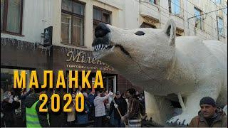 Маланка 2020 Черновцы лучшее