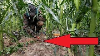По картам пусто. А НА ДЕЛЕ....!? Не ленитесь пробивать такие места.....