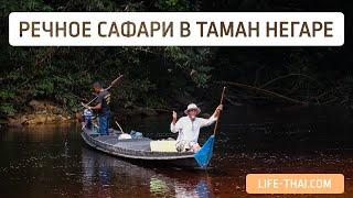 Речной круиз Lata Berkoh + Kelah Sanctuary в Таман Негаре