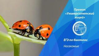Проект «Университетский лицей»: ЕГЭ по биологии. Насекомые