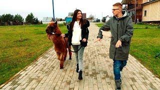 Круиз-Контроль. Москва - Углич