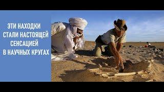 Что поrpeбено ПОД ПЕСКАМИ САХАРЫ ?