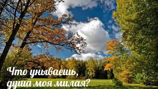 Что унываешь, душа моя милая - христианская песня.