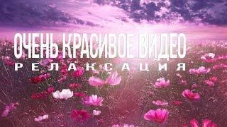 Расслабляющее видео   удивительные места планеты