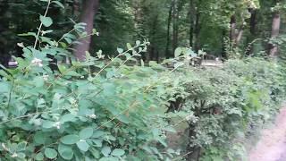 ДЕТСКИЙ САД в ЛЕСУ!!! ЭТО ТАК ЗДОРОВО!!!