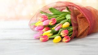 Отдых в выходные: 8 марта в ЭТНОМИРе