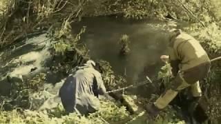 О чем умолчали при раскопках