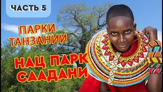 Танзания национальный парк Саадани