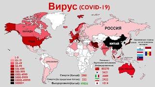 Насколько опасен вирус из Китая