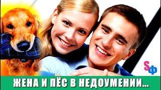Верный пёс РАЗОБЛАЧИЛ хозяина - принеся ему вместо тапок доказательство ИЗМЕНЫ