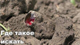 РЕШИЛ ПРОВЕРИТЬ ОГОРОД БАБУШКИ.НАХОДКИ ПРОСТО УДИВИТЕЛЬНЫЕ.