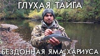 ГЛУХАЯ ТАЙГА / БЕЗДОННАЯ ЯМА ХАРИУСА / РЫБАЛКА ОСЕНЬЮ НА СПИННИНГ