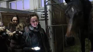 Харківський цирк
