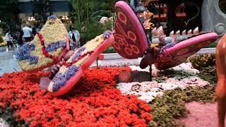 Bellagio Conservatory & Botanical Gardens, Las Vegas. Выставка-сад в отеле  Белладжио, в Лас Вегасе.