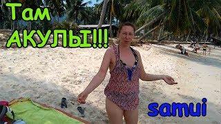 САМУИ. ТАМ ПЕТУШИНАЯ ФЕРМА. ОБЗОР ОТЕЛЕЙ