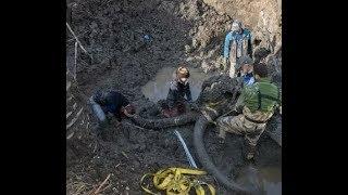 Видео: Осторожнее копайте ваши огороды. Фермер копнул поглубже и вот что увидел.