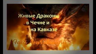 Живые Драконы в Чечне и на Кавказе. Свидетельства с мест событий