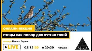 Онлайн-лекция "Птицы как повод для путешествий"
