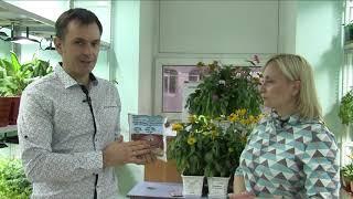 Опыт № 909: Блогер о биопрепаратах и базиличной соли