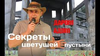 Секреты Даром Адом
