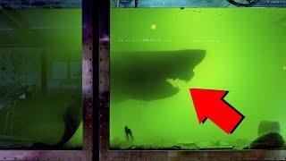 11 Самых НЕОЖИДАННЫХ Находок в Заброшках