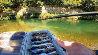 Fly Fishing Clear water Catching Big Trout