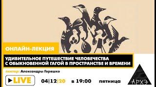 Онлайн-лекция "Удивительное путешествие человечества с обыкновенной гагой в пространстве и времени"