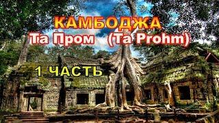 126 серия.1часть.КАМБОДЖА-по следам Лары Крофт:путешествие в храм Та Пром (Ta Prohm).АНГКОР ВАТ