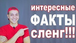 Интересные ФАКТЫ! Сленг. Как бортпроводники называют пассажиров?!