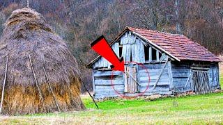 Неожиданная НАХОДКА в сарае повергла в ступор хозяйку дома. А спустя время эта находка СПАСЛА жизнь.