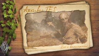 Архивы TES - Всё о великанах