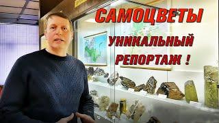 Музей Самоцветы. Уникальный репортаж о натуральных камнях !