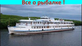 Почему теплоходы на Оке садятся на мели ?!!