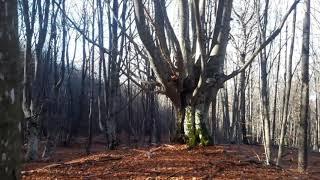 Удивительные места Крыма. Такое не забудешь. Редкая Природа и ландшафт #видовыеместакрыма #супервид