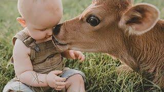 Удивительные Случаи Дружбы с Животными