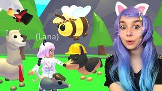 НОВЫЕ ВЕЩИ ДЛЯ ПИТОМЦЕВ в адопт ми roblox