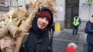 У Львові встановлюють Різдвяний Дідух. Стрім наживо