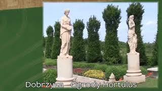 Witam i Zapraszam! 