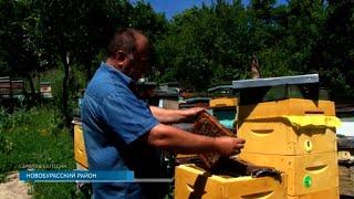 Саратов. Сегодня | 11 августа