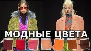 Модные цвета осень 2019 зима 2020 по версии Pantone Одежда и обувь