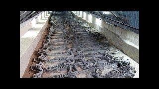 12 Самых Невероятных Археологических Находок