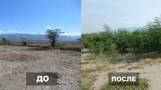 Люди, которые СПАСАЮТ нашу планету