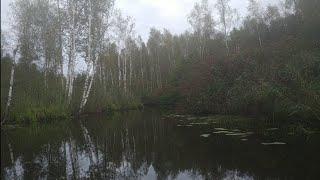 настоящее приключение в Подмосковье! Тростенское озеро