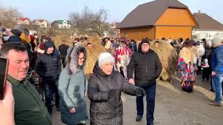 Маланка на Буковині - місто румунське Красноільск та місто Вашківці . Столітні традиції 2021 рік .