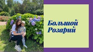 Парк Сокольники лето 2020! Красивые цветы и интересные места в Москве