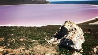 Крым 2020 РОЗОВОЕ ОЗЕРО Кояшское во время карантина | Удивительные места КРЫМА
