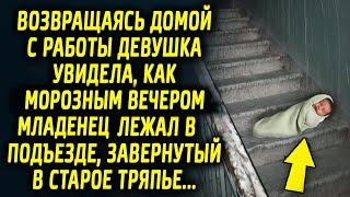 Возвращаясь домой с работы, девушка увидела подарок морозным вечером на лавочке…