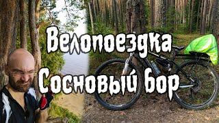 Велопоездка в сосновый Клетинский бор тверской области