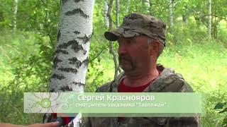 Удивительные места Тюменской области. Таволжанский заказник