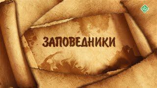 Новый фильм о заповеднике